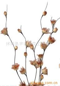 供應葉脈花、龍柳、三叉木、龍桑、蘆葦專業指南